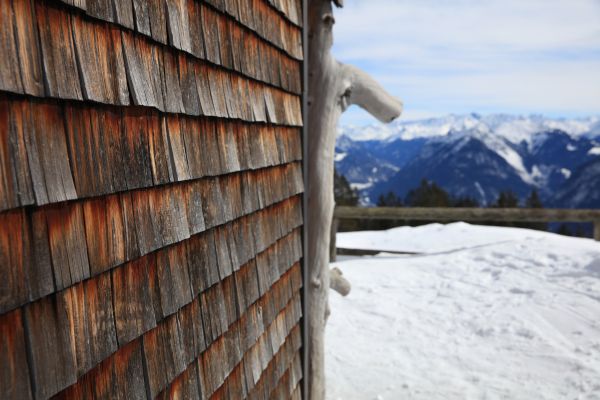 Cedar Siding Repair in Windsor