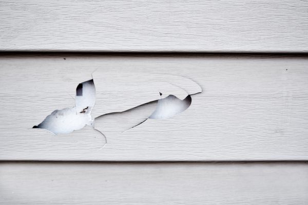 Siding Leak Repair in Windsor
