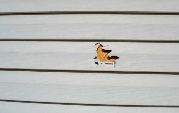 Siding Hole Patching in Windsor