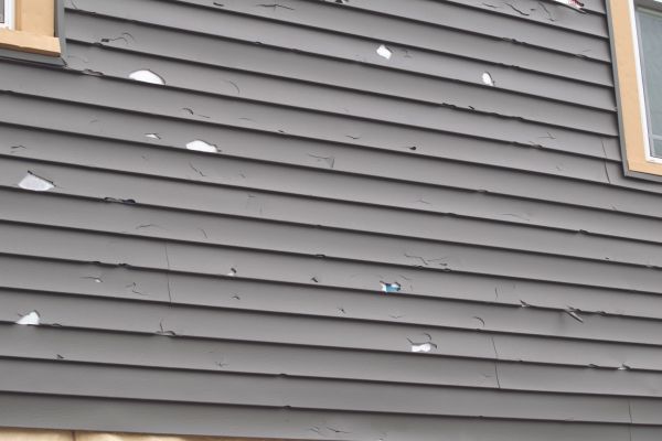 Damaged Siding Replacement in Windsor